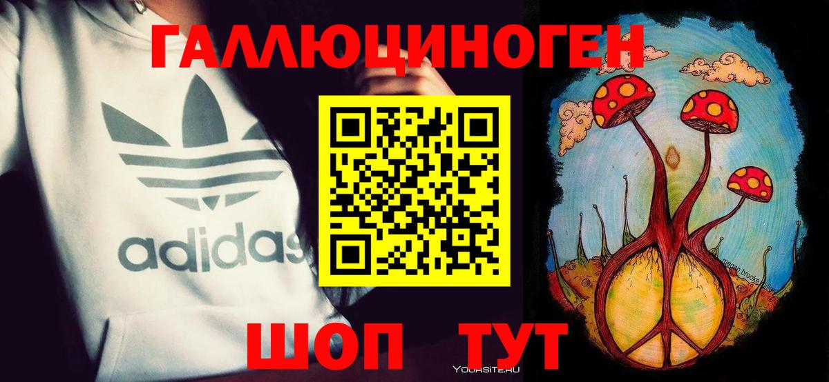 Керчь  Галлюциногенные грибы Psilocybe  Вход с VPN 